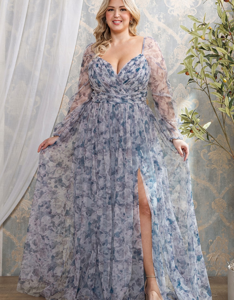 Soieblu Delia Deep Surplice Long Sleeve Mesh Maxi in Dusty Blue Floral