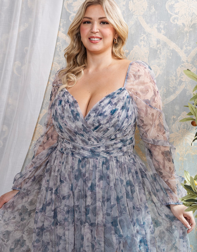 Soieblu Delia Deep Surplice Long Sleeve Mesh Maxi in Dusty Blue Floral