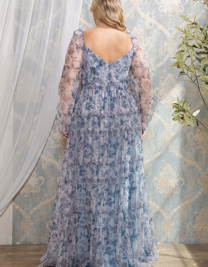 Soieblu Delia Deep Surplice Long Sleeve Mesh Maxi in Dusty Blue Floral