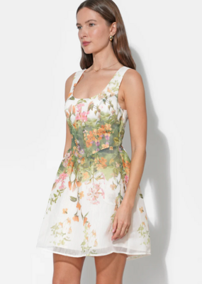 Adelyn Rae Isla Scoop Neck Fit & Flare Mini Dress in Cream/Green Floral Print