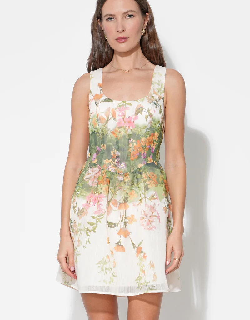 Adelyn Rae Isla Scoop Neck Fit & Flare Mini Dress in Cream/Green Floral Print