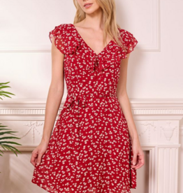 Angel Eye Alexandria Mini Flutter Dress