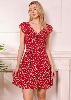 Angel Eye Alexandria Mini Flutter Dress *Only One Left - Small*