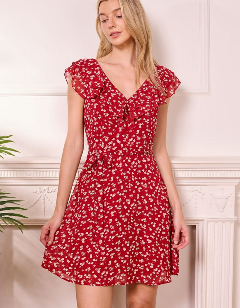 Angel Eye Alexandria Mini Flutter Dress In Red Floral