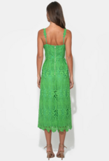 Adelyn Rae Alice Lace Midi Dress in Matcha Green