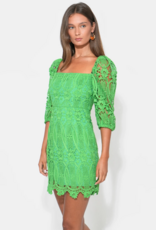Adelyn Rae Emery Puff Sleeve Lace Mini Dress in Matcha Green