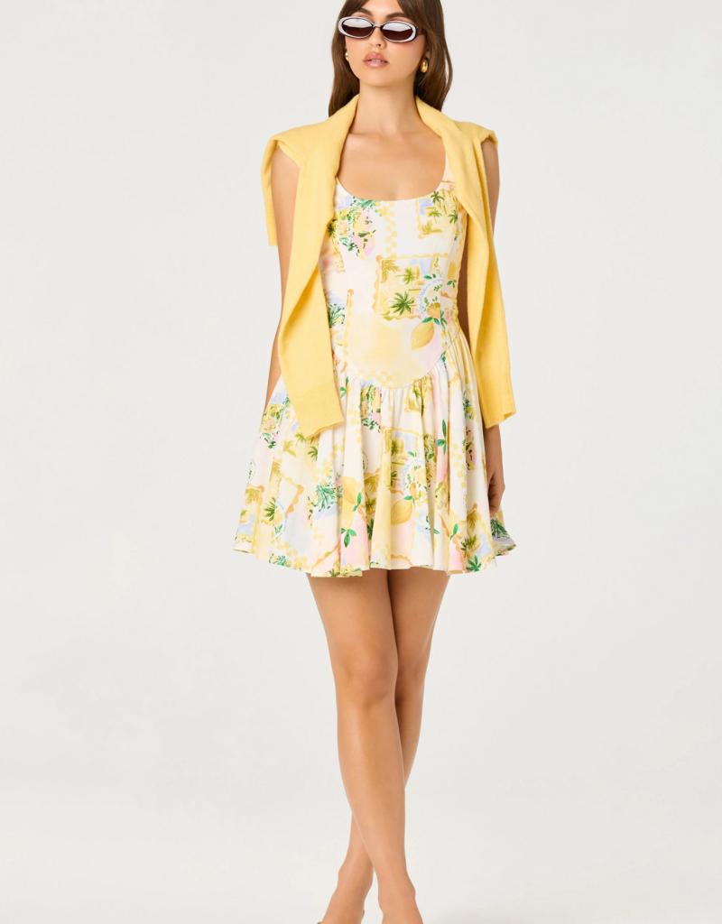 ASTR Reina Paradise Print A-Line Mini Dress