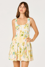 ASTR Reina Paradise Print A-Line Mini Dress