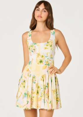 ASTR Reina Paradise Print A-Line Mini Dress