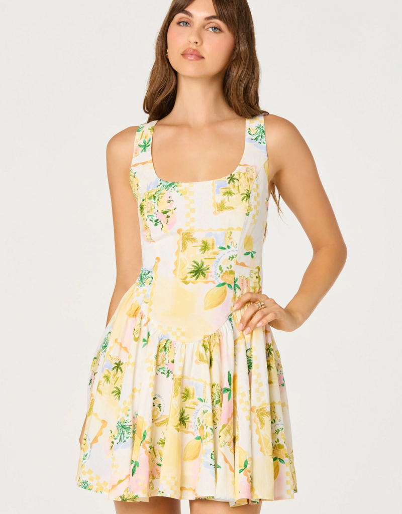 ASTR Reina Paradise Print A-Line Mini Dress