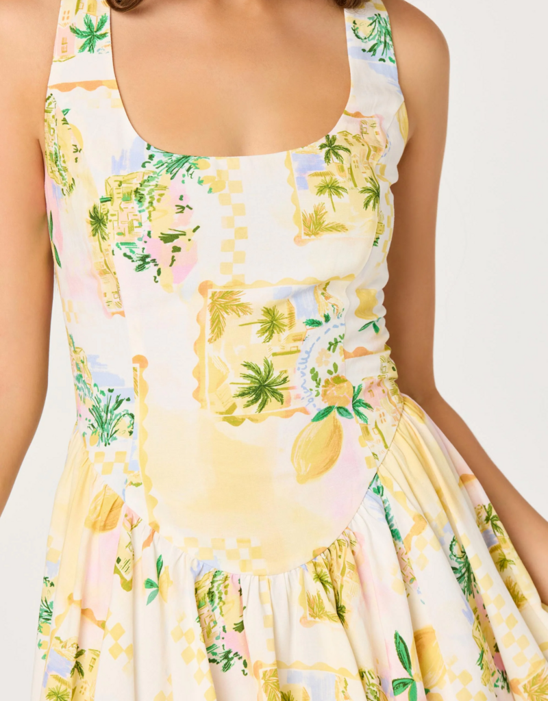 ASTR Reina Paradise Print A-Line Mini Dress