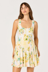 ASTR Reina Paradise Print A-Line Mini Dress