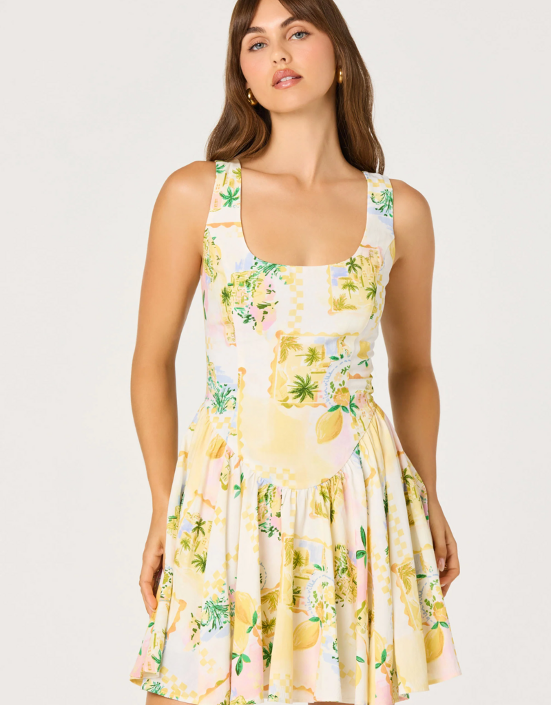 ASTR Reina Paradise Print A-Line Mini Dress