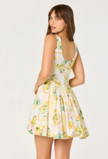 ASTR Reina Paradise Print A-Line Mini Dress