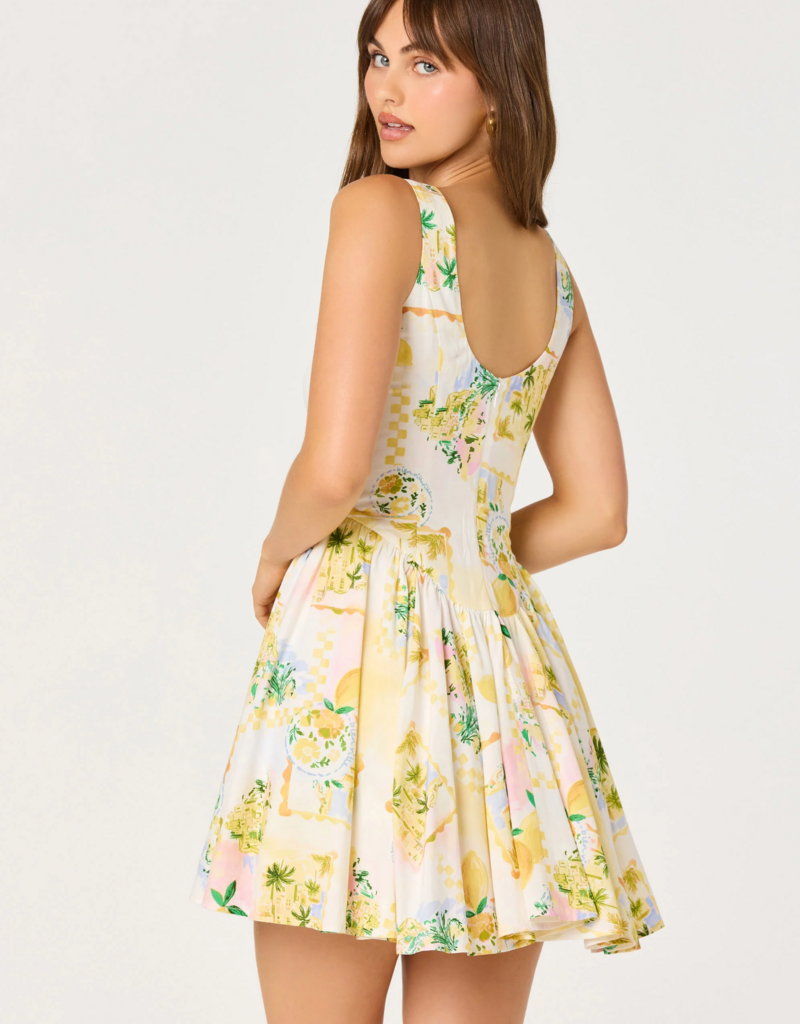 ASTR Reina Paradise Print A-Line Mini Dress