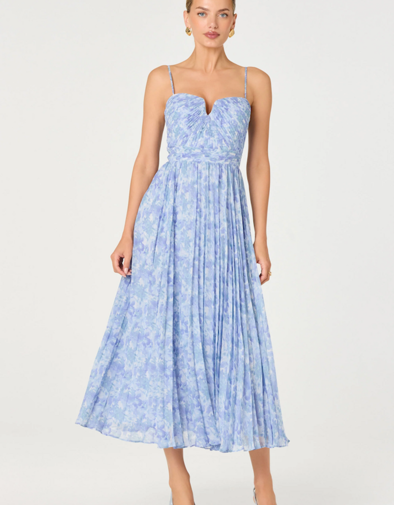 ASTR Bayley Floral Pleated Maxi Dress