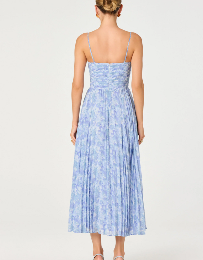 ASTR Bayley Floral Pleated Maxi Dress