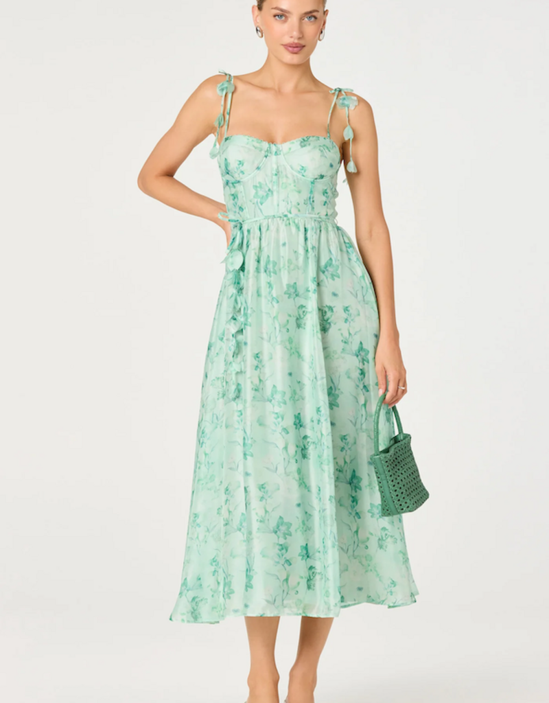 ASTR Halcyon 3D Flower Appliqué Midi Dress in Green Floral