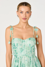 ASTR Halcyon 3D Flower Appliqué Midi Dress in Green Floral