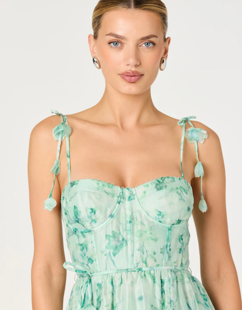 ASTR Halcyon 3D Flower Appliqué Midi Dress in Green Floral