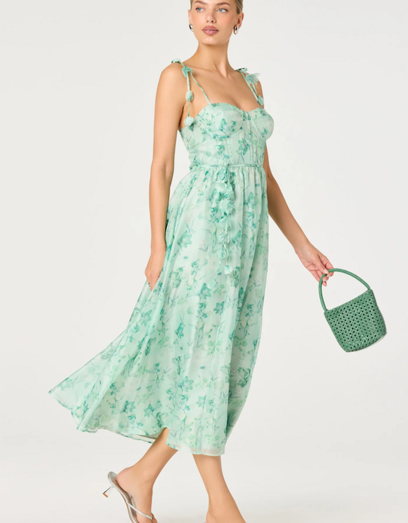 ASTR Halcyon 3D Flower Appliqué Midi Dress in Green Floral