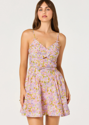 ASTR Isha Floral Sweetheart Mini Dress with Belt