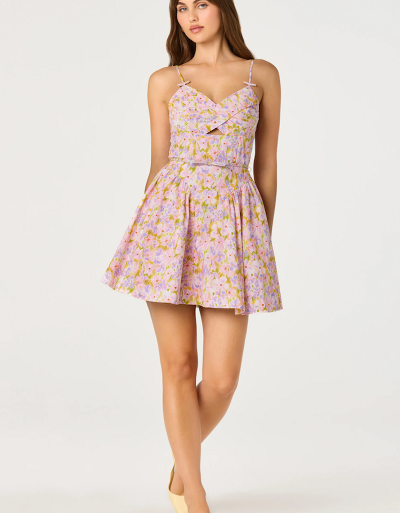 ASTR Isha Floral Sweetheart Mini Dress with Belt
