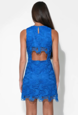 Adelyn Rae Mackenzie Open Back Scallop Lace Mini Dress in Royal Blue