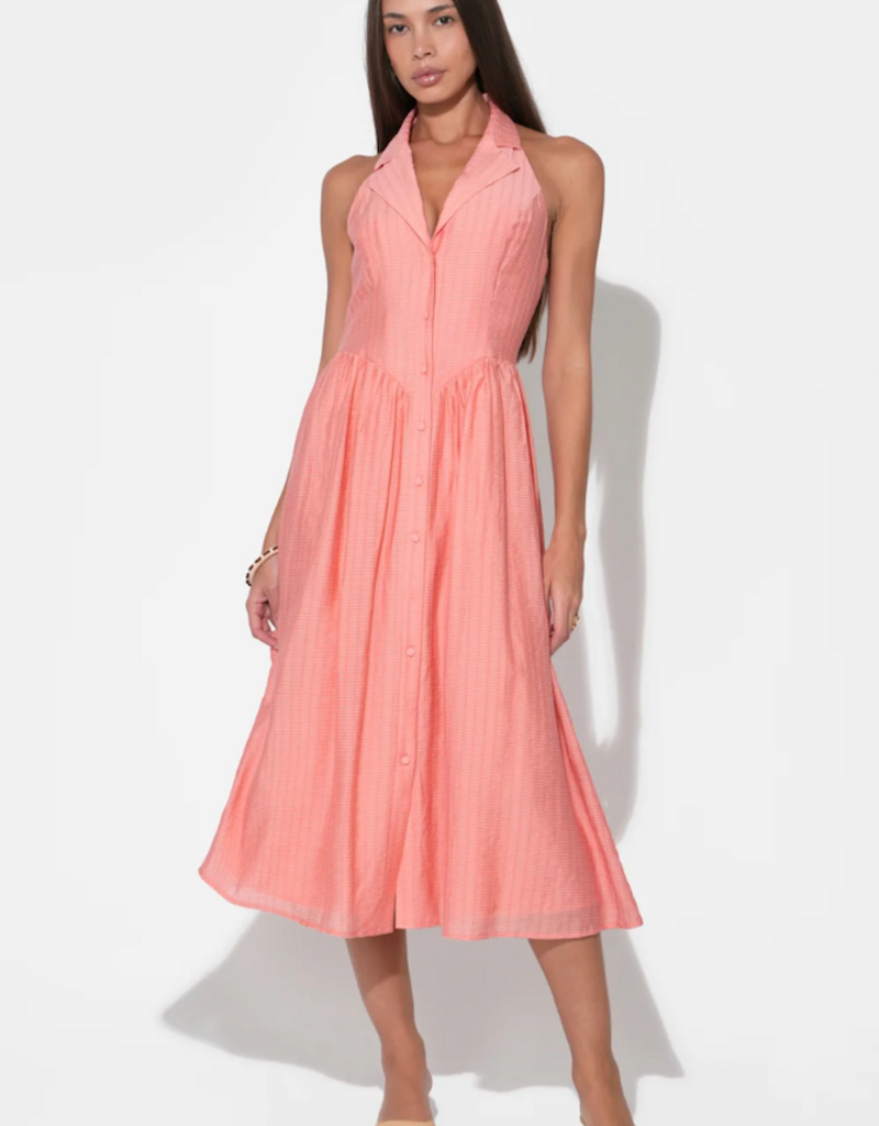 Adelyn Rae Mia Halter Midi Dress in Dusty Orange