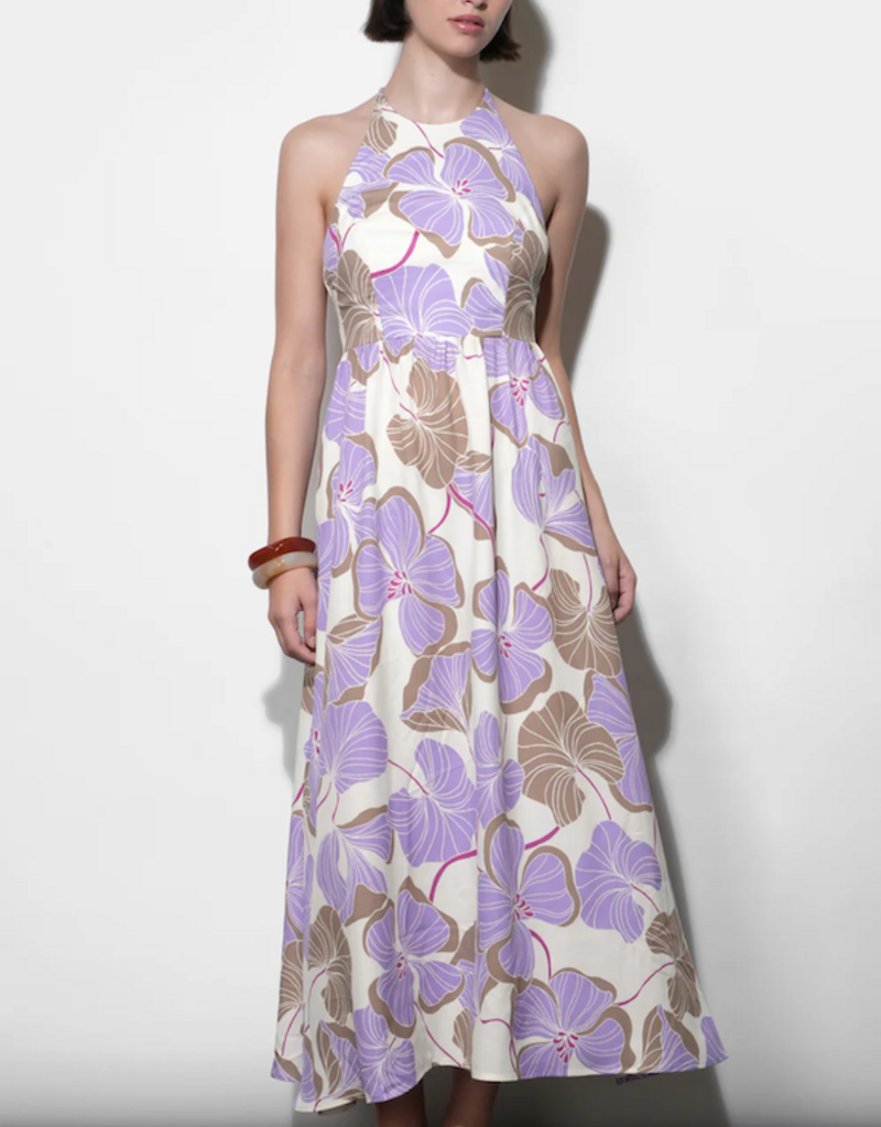 Greylin Ayla Braided Halter Strap Maxi Dress in Cream/Lilac Print