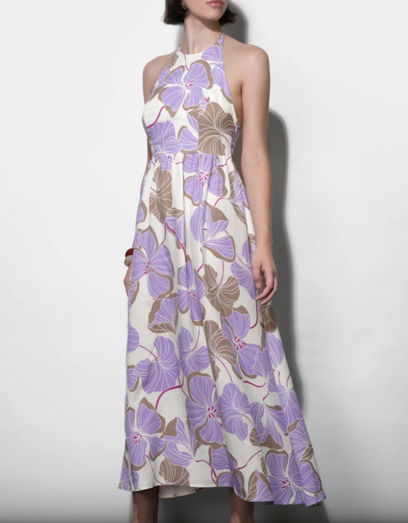 Greylin Ayla Braided Halter Strap Maxi Dress in Cream/Lilac Print
