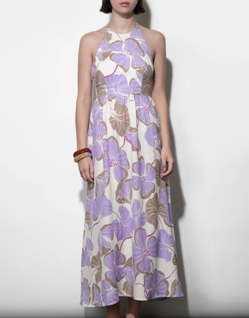 Greylin Ayla Braided Halter Strap Maxi Dress in Cream/Lilac Print