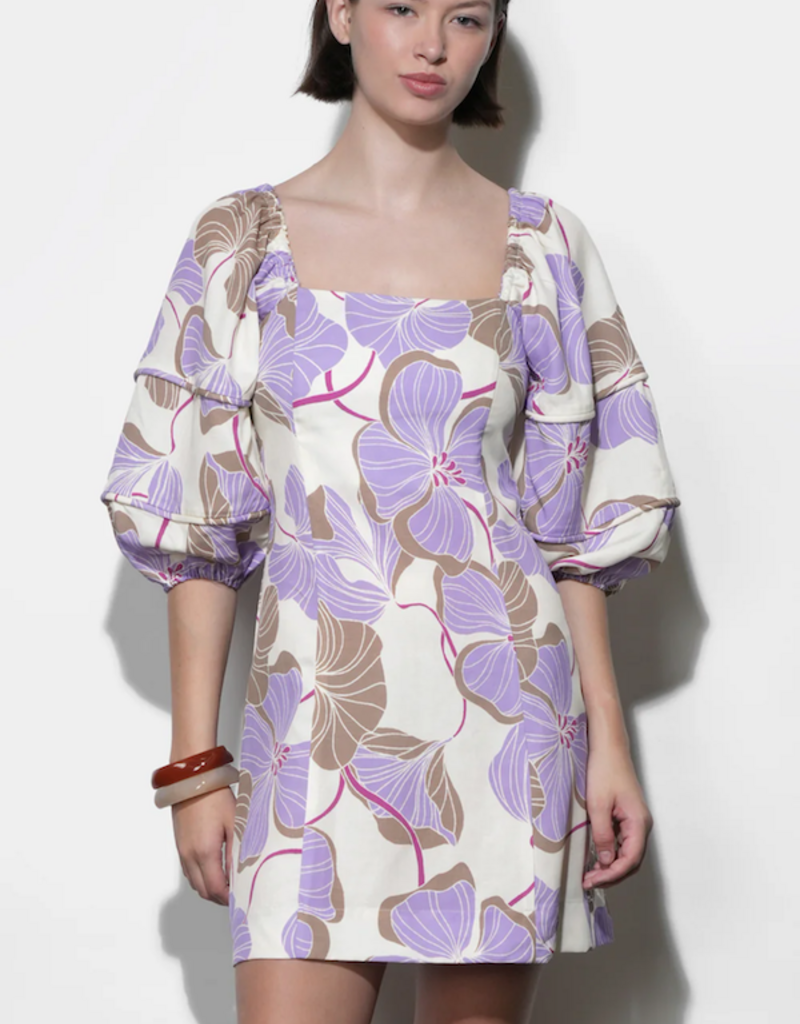 Greylin Emery Piped Bubble Sleeve Mini Dress in Cream/Lilac Print
