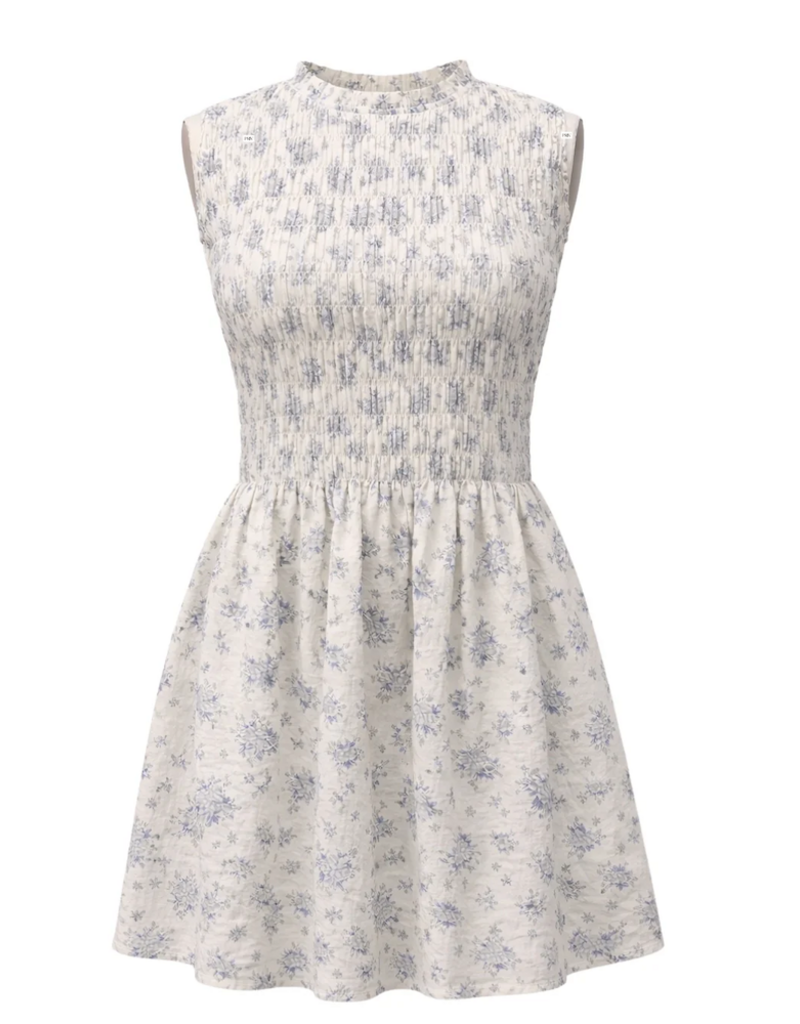 Privilege Prim Sleeveless Rouched Dress in Blue Floral