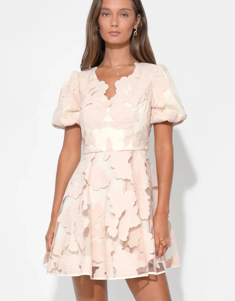 Adelyn Rae Ariana Bubble Sleeve Mini Dress in Blush/Cream