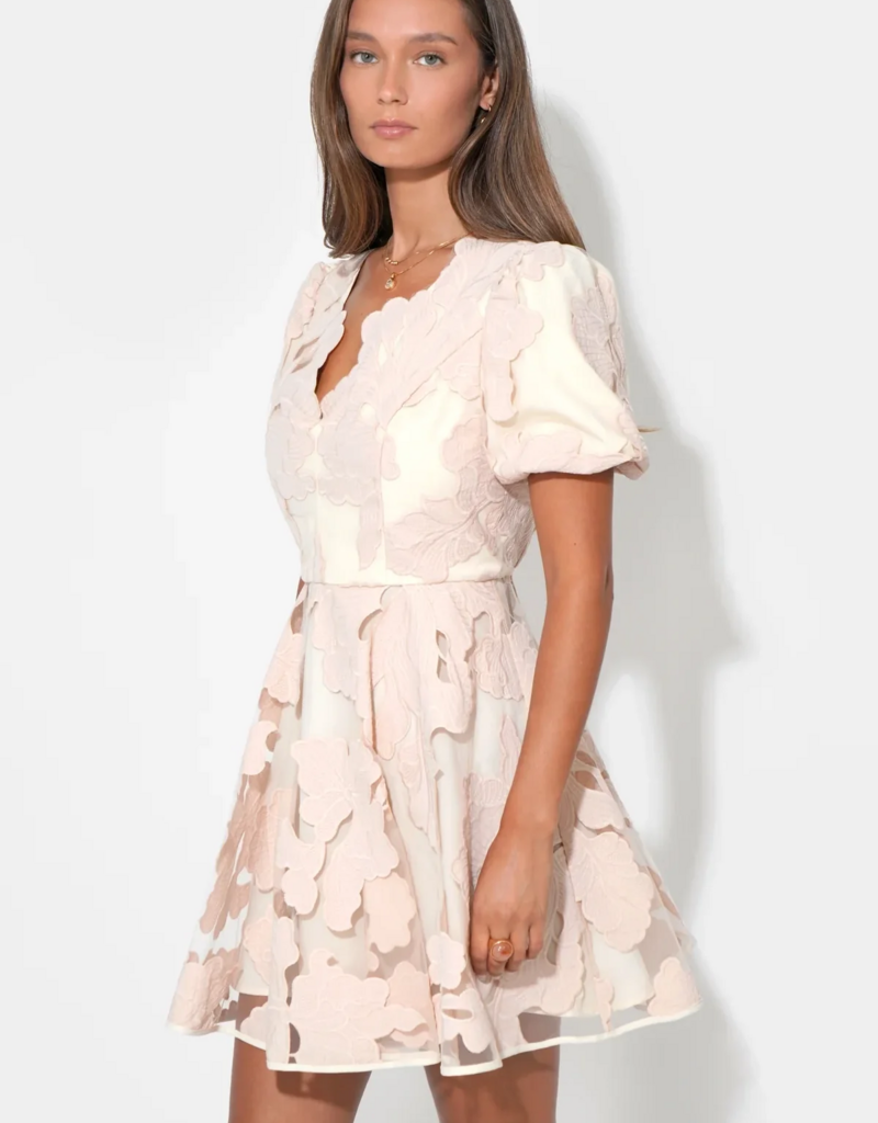 Adelyn Rae Ariana Bubble Sleeve Mini Dress in Blush/Cream