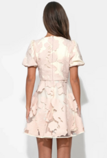 Adelyn Rae Ariana Bubble Sleeve Mini Dress in Blush/Cream