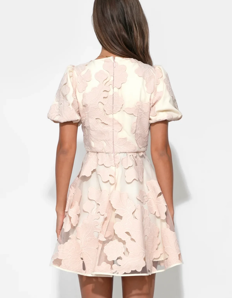 Adelyn Rae Ariana Bubble Sleeve Mini Dress in Blush/Cream