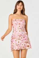 ASTR Julisa Embroidered Floral Strapless Mini Dress in Pink