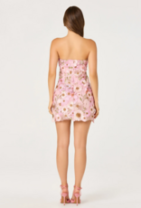 ASTR Julisa Embroidered Floral Strapless Mini Dress in Pink