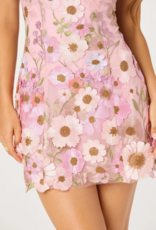 ASTR Julisa Embroidered Floral Strapless Mini Dress in Pink