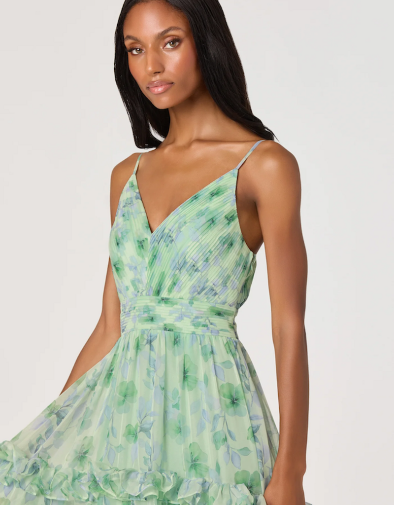 ASTR Ayanna Floral Pleated Tiered Maxi Dress in Green Floral