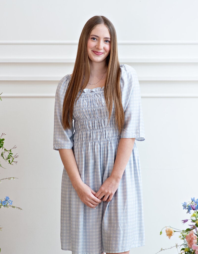 ICHI Hetta Dress in Powder Blue Gingham (FINAL SALE)