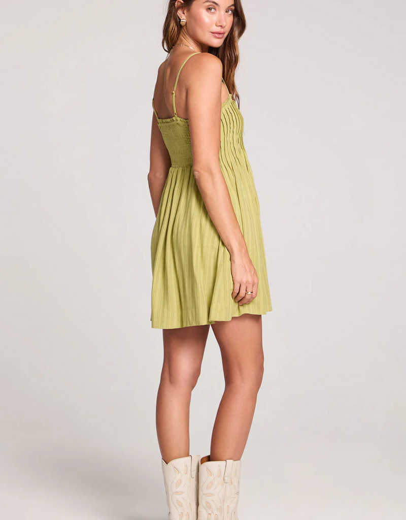 Saltwater Luxe Augustina Mini Dress in Willow