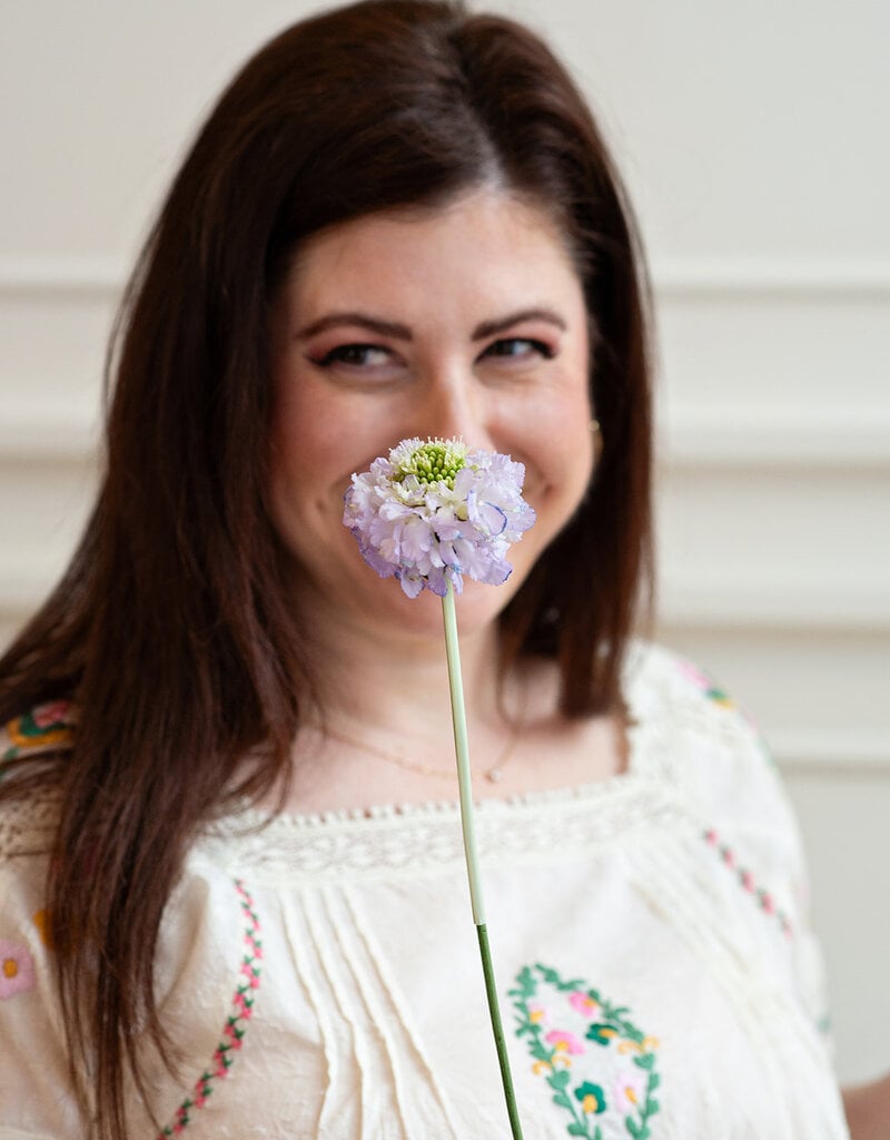 Louizon Wish Embroidered Short Sleeve Blouse in Vanilla