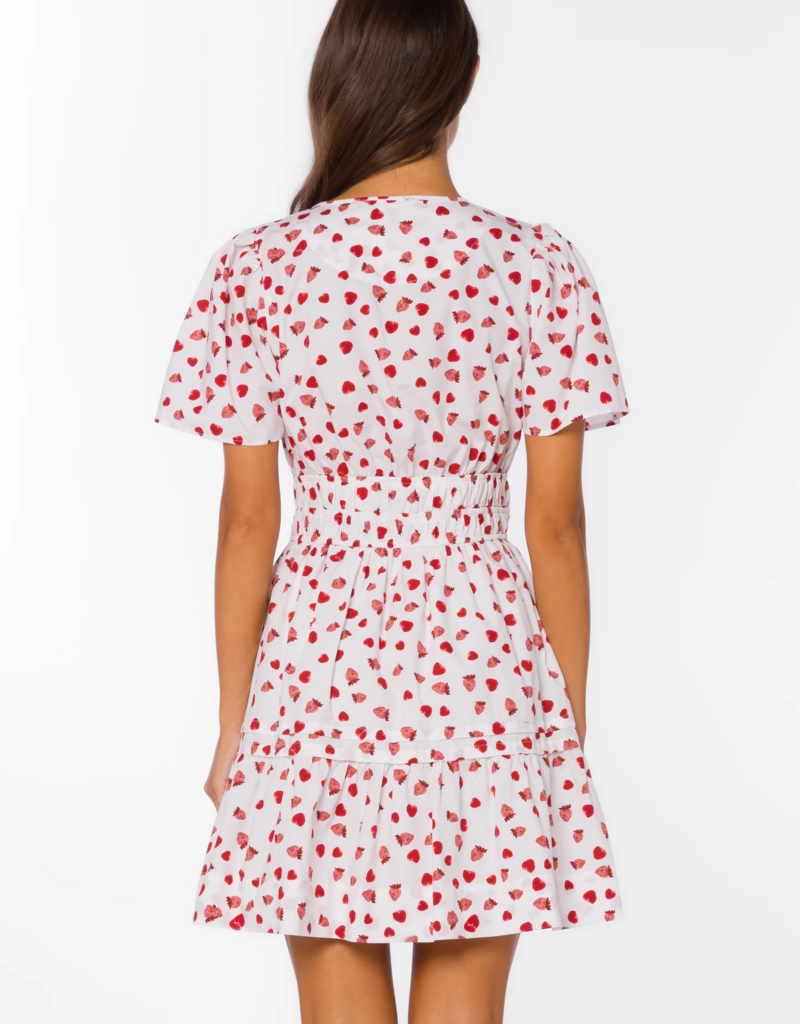 Velvet Heart Stila 100% Cotton Poplin Dress in Strawberry Print