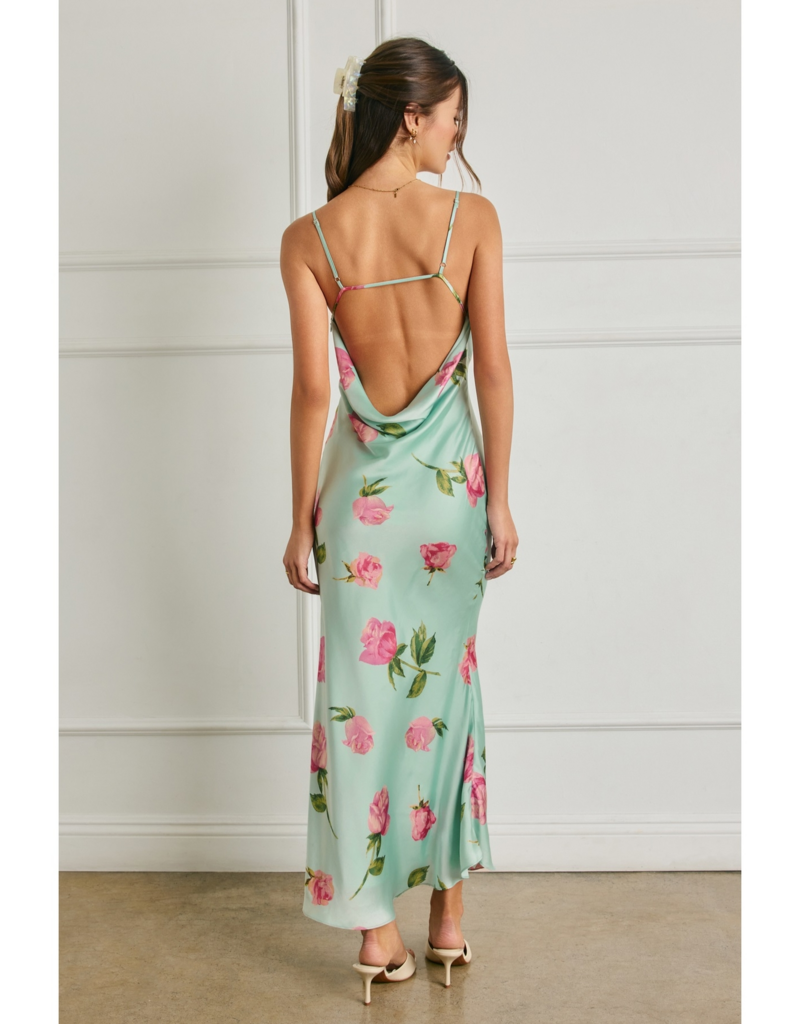 Dress Forum Rosalie Satin Maxi Dress in Rosemint Print
