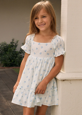Saltwater Luxe Kids Allima Mini Dress in White with Blue Floral