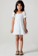 Saltwater Luxe Kids Allima Mini Dress in White w/ Blue Floral