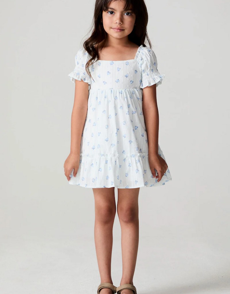 Saltwater Luxe Kids Allima Mini Dress in White w/ Blue Floral